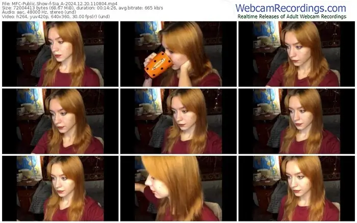 2024/12/20/mfc-sia_a-11-08-04