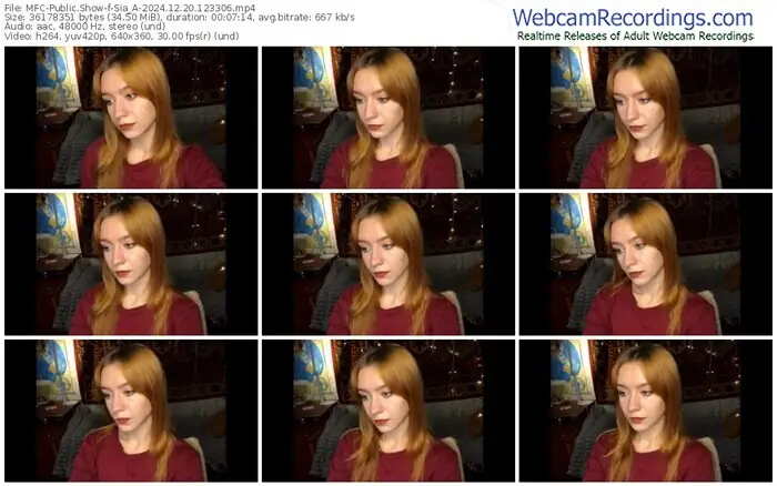 2024/12/20/mfc-sia_a-12-33-06