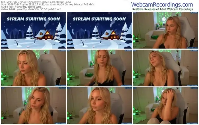 2024/12/20/mfc-snowkitty-00-56-21