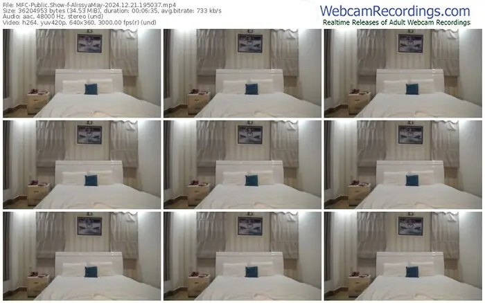 2024/12/21/mfc-alissyamay-19-50-37