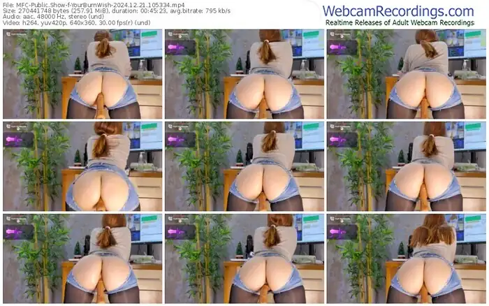 2024/12/21/mfc-yourburnwish-10-53-34