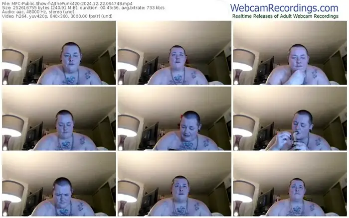 2024/12/22/mfc-ajthepunk420-09-47-48