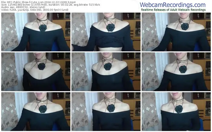 2024/12/22/mfc-cute_lion-10-28-13