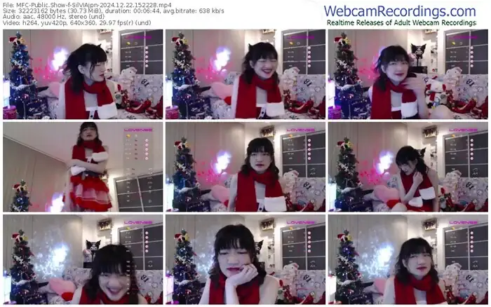 2024/12/22/mfc-silviajpn-15-22-28