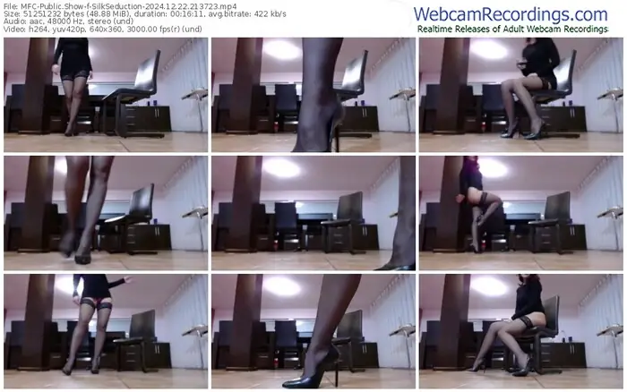 2024/12/22/mfc-silkseduction-21-37-23