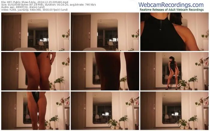 2024/12/23/mfc-aila_-03-54-40