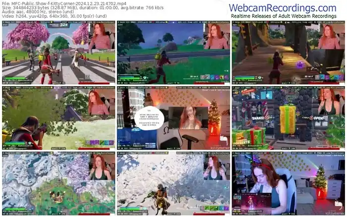 2024/12/23/mfc-kittycorner-21-47-02