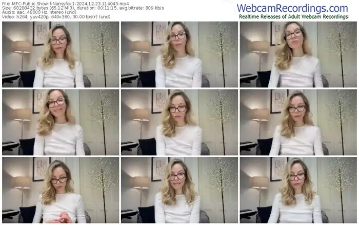 2024/12/23/mfc-nansyfox1-11-40-43