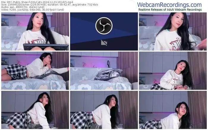 2024/12/23/mfc-onlycats-16-14-15