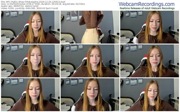 2024/12/24/mfc-robosasha-12-59-13