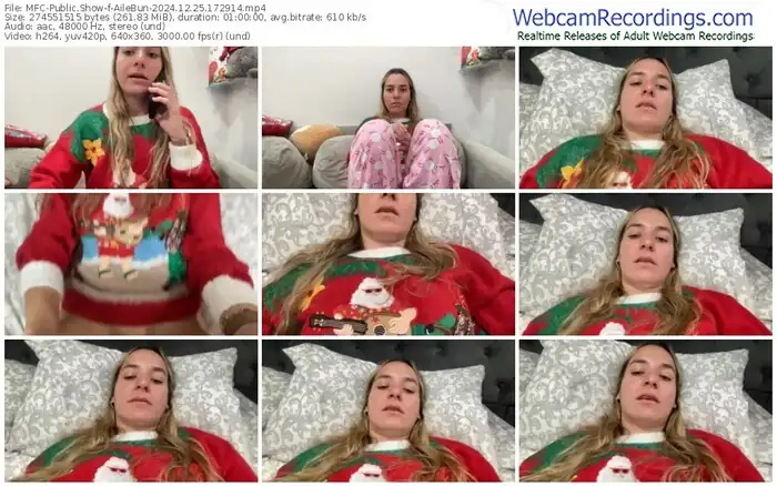 2024/12/25/mfc-ailebun-17-29-14