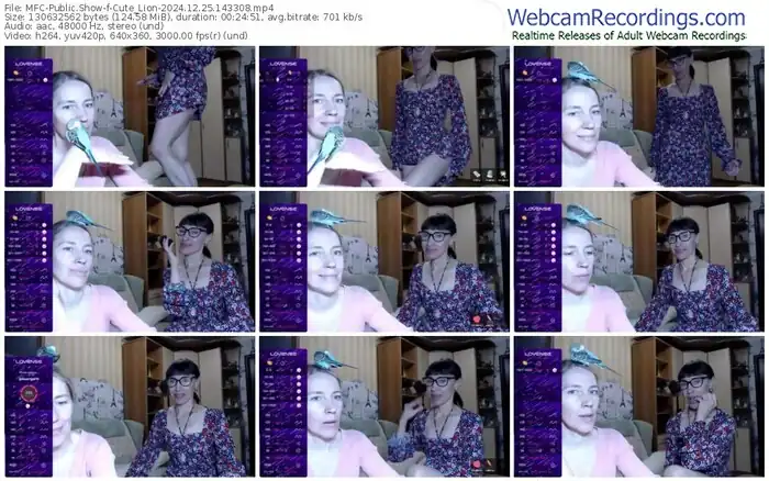 2024/12/25/mfc-cute_lion-14-33-08
