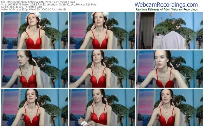 2024/12/25/mfc-malina_kitty-05-36-17
