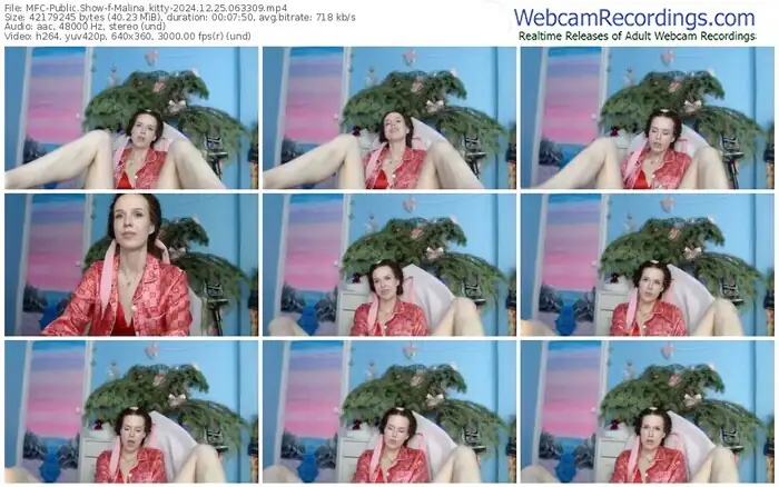 2024/12/25/mfc-malina_kitty-06-33-09