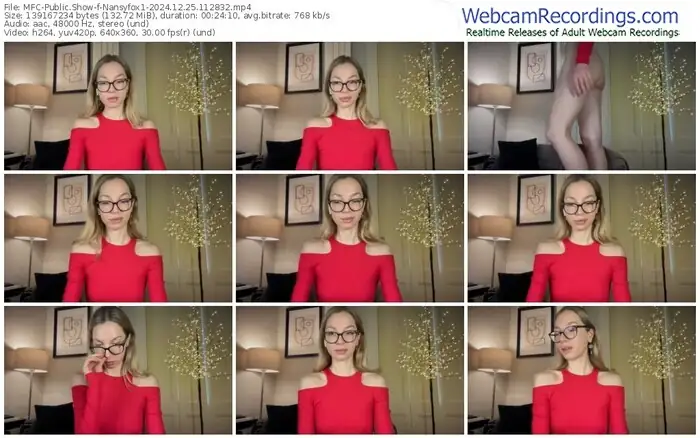 2024/12/25/mfc-nansyfox1-11-28-32