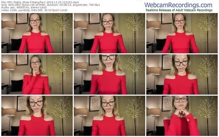 2024/12/25/mfc-nansyfox1-12-22-42