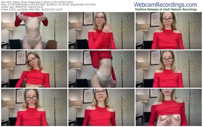 2024/12/25/mfc-nansyfox1-13-56-15