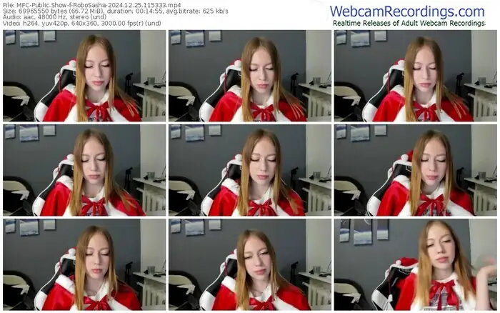 2024/12/25/mfc-robosasha-11-53-33
