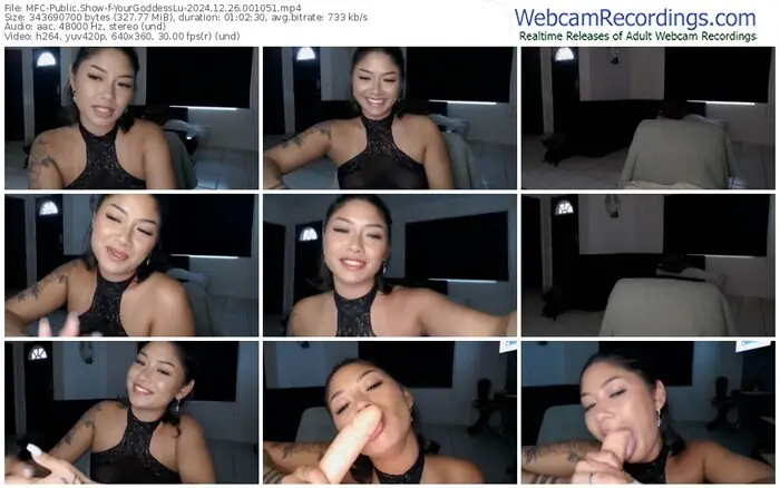 2024/12/26/mfc-yourgoddesslu-00-10-51