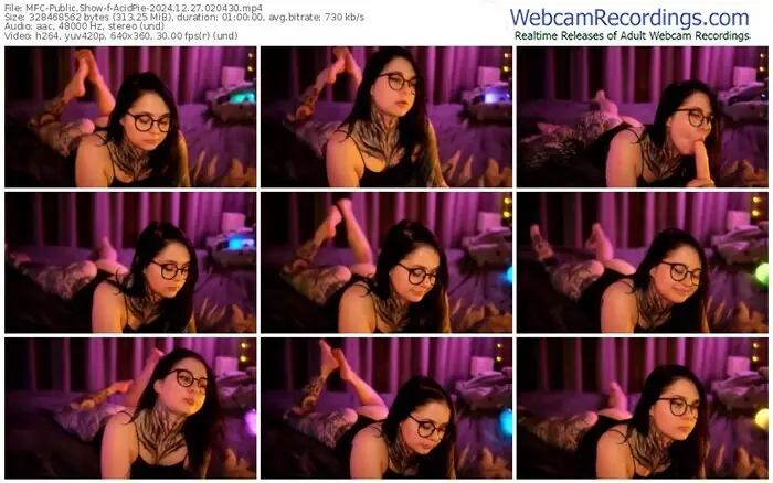 2024/12/27/mfc-acidpie-02-04-30