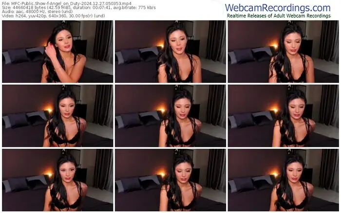 2024/12/27/mfc-angel_on_duty-05-03-53