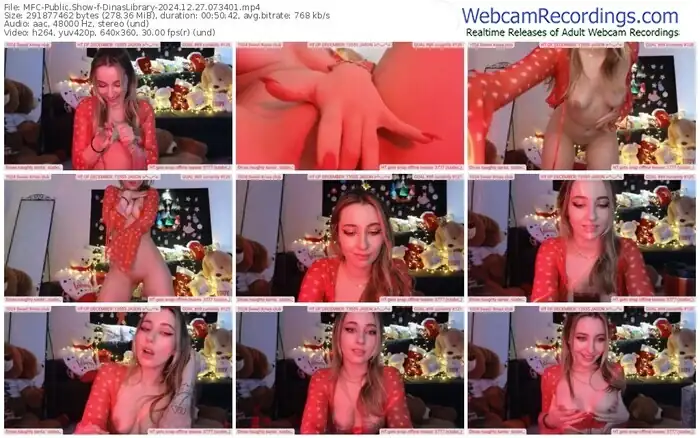 2024/12/27/mfc-dinaslibrary-07-34-01