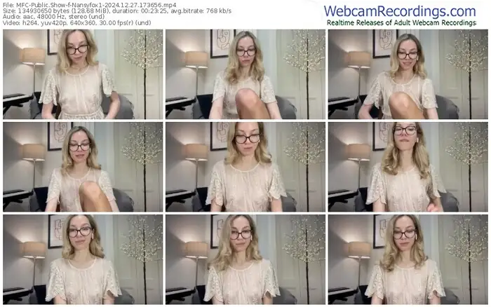 2024/12/27/mfc-nansyfox1-17-36-56