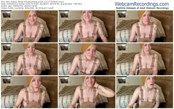 2024/12/27/mfc-purrtymetal-01-09-47