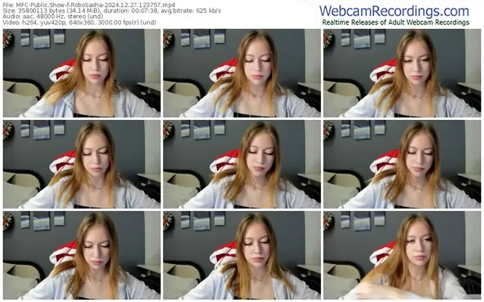 2024/12/27/mfc-robosasha-12-37-57