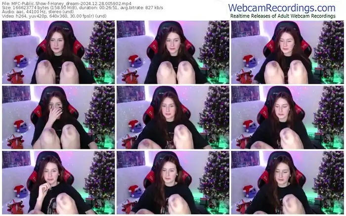 2024/12/28/mfc-honey_dream-00-59-02