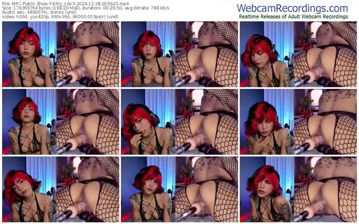 2024/12/28/mfc-kitty_l0v3-01-56-20