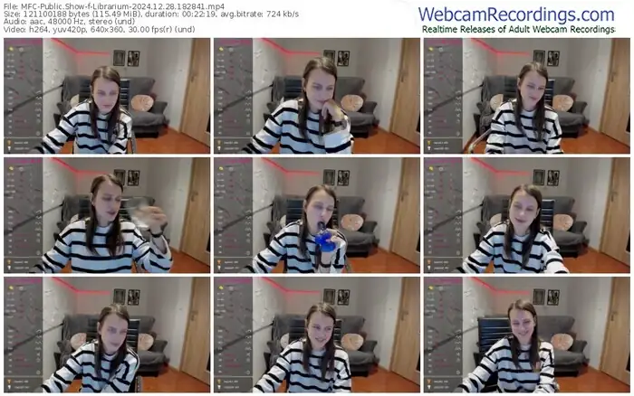 2024/12/28/mfc-librarium-18-28-41