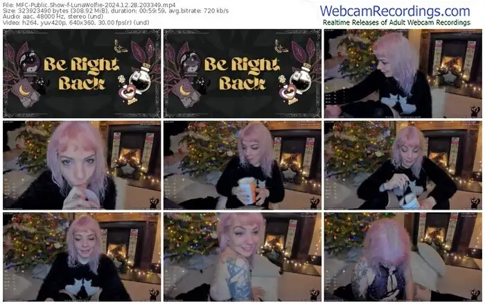 2024/12/28/mfc-lunawolfie-20-33-49