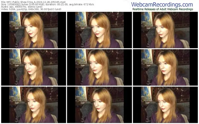 2024/12/28/mfc-sia_a-20-53-45