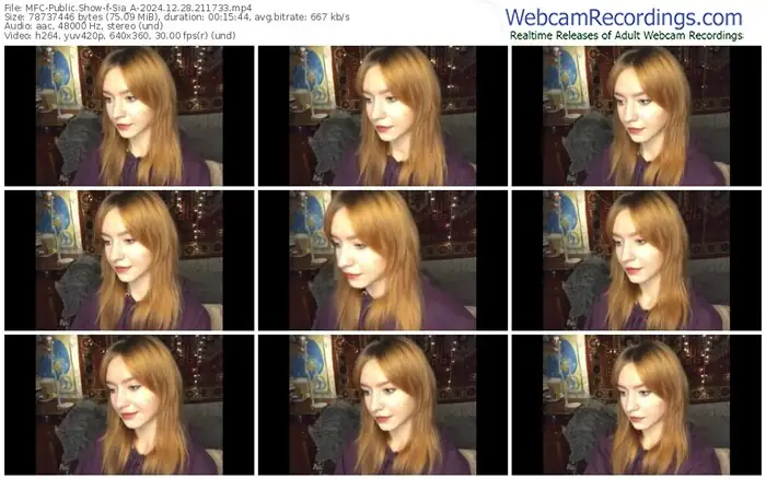 2024/12/28/mfc-sia_a-21-17-33