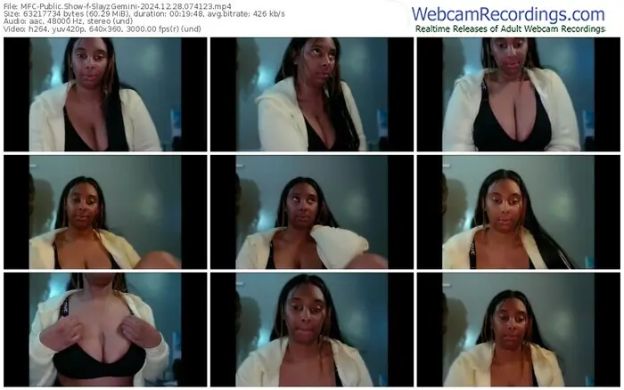 2024/12/28/mfc-slayzgemini-07-41-23