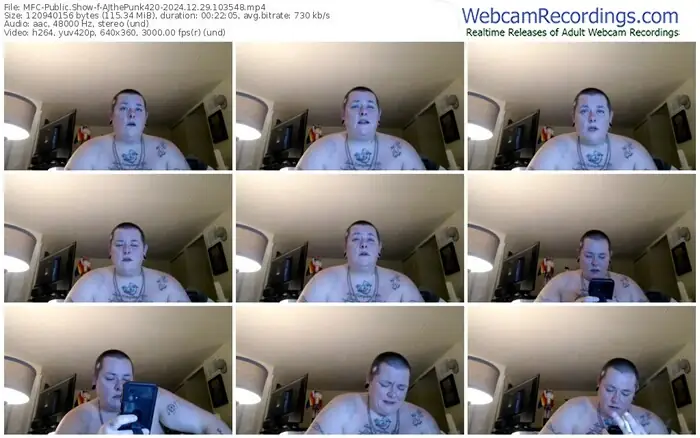 2024/12/29/mfc-ajthepunk420-10-35-48