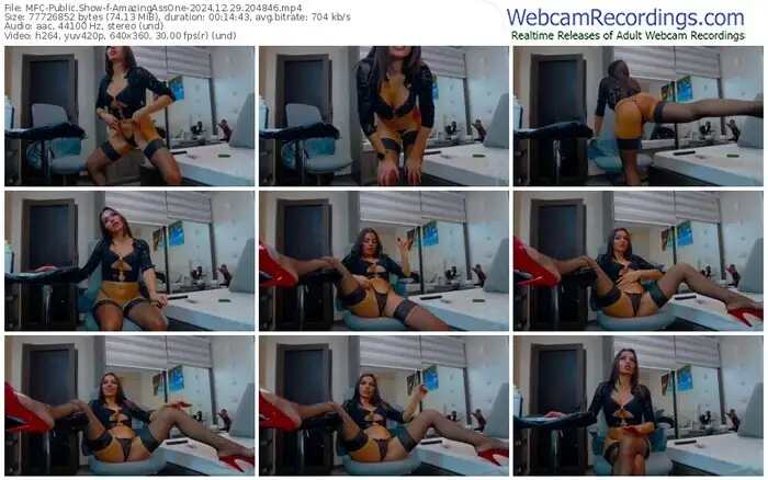 2024/12/29/mfc-amazingassone-20-48-46