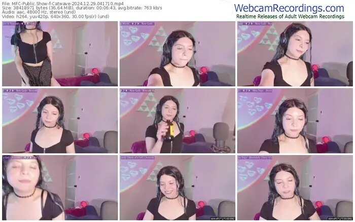 2024/12/29/mfc-catwave-04-17-10