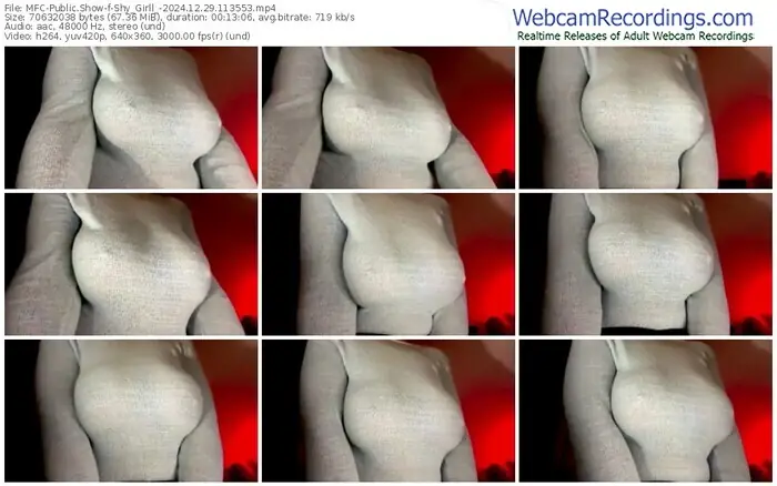 2024/12/29/mfc-shy_girll_-11-35-53