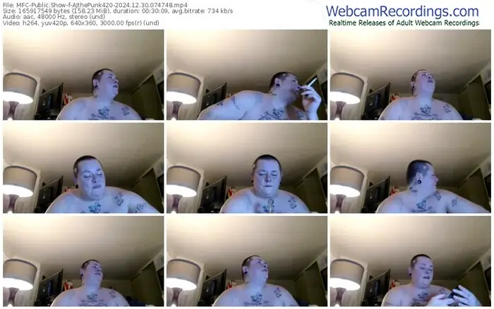 2024/12/30/mfc-ajthepunk420-07-47-48