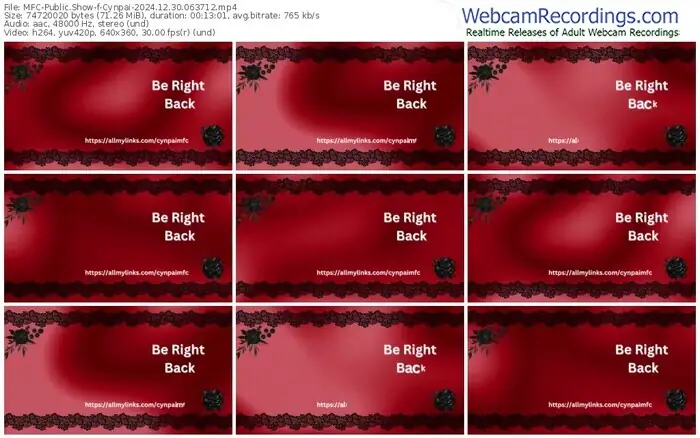 2024/12/30/mfc-cynpai-06-37-12