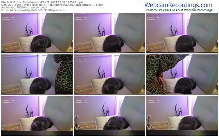 2024/12/31/mfc-alyssiakent1-18-35-13