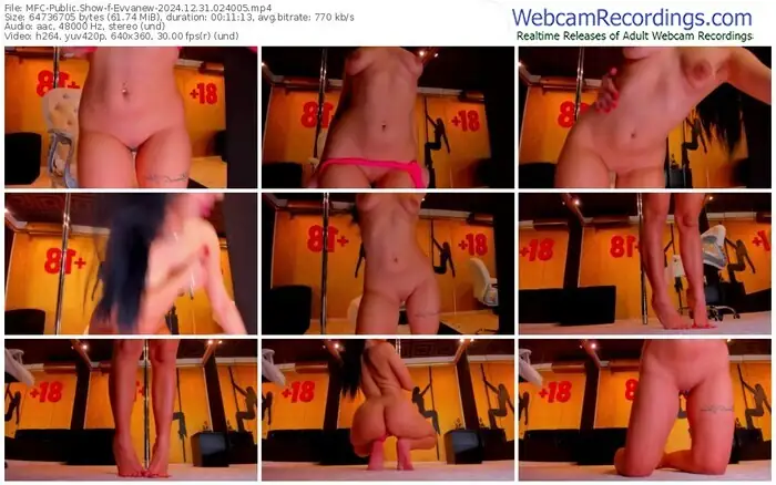 2024/12/31/mfc-evvanew-02-40-05