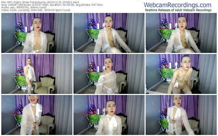 2024/12/31/mfc-greybunny-15-56-11