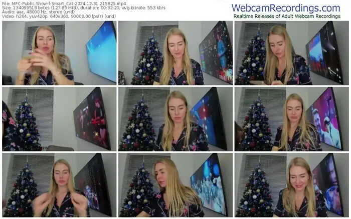 2024/12/31/mfc-smart_cat-21-58-25