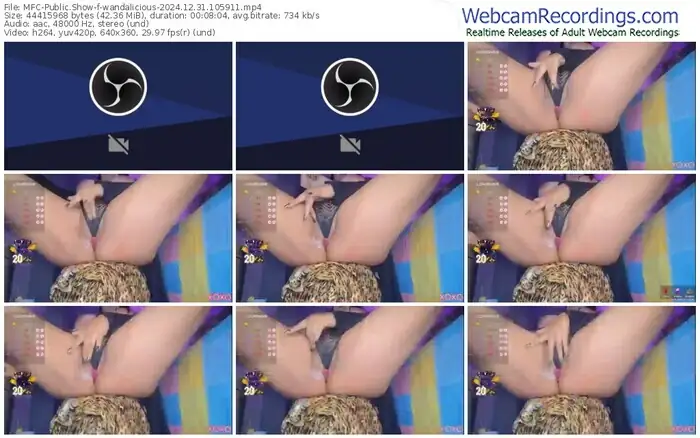 2024/12/31/mfc-wandalicious-10-59-11