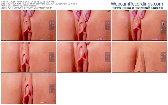 2025/01/02/mfc-elysi_-09-53-09