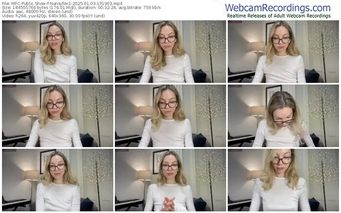 2025/01/03/mfc-nansyfox1-13-19-03