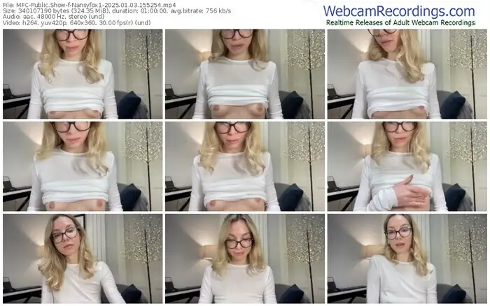 2025/01/03/mfc-nansyfox1-15-52-54